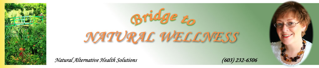 Bridge to Natural Wellness ing Center, Manchester, NH.